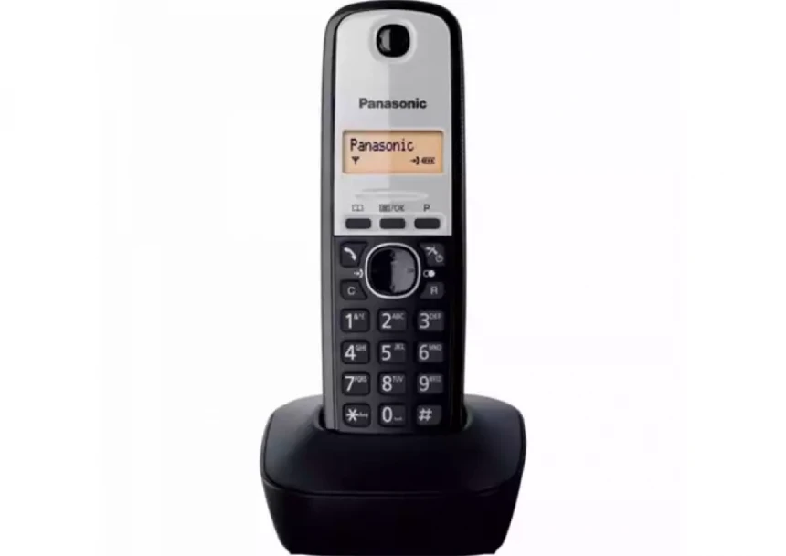 Bežični telefon Panasonic KX-TG1911 FXG