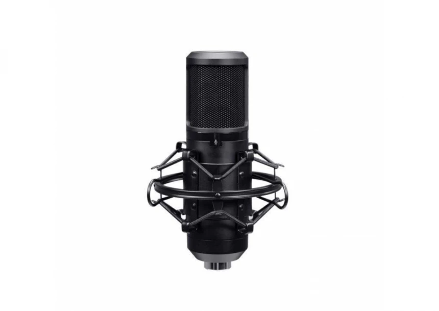 GXT270 EMITA+ II MIC WITH ARM (25770)