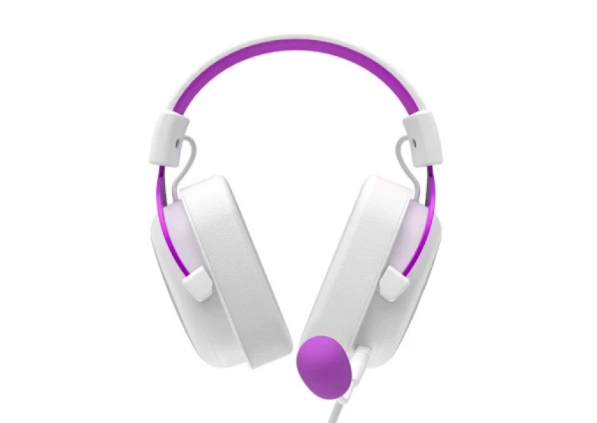 Havit Slušalice H2002d sivo-ljubičaste