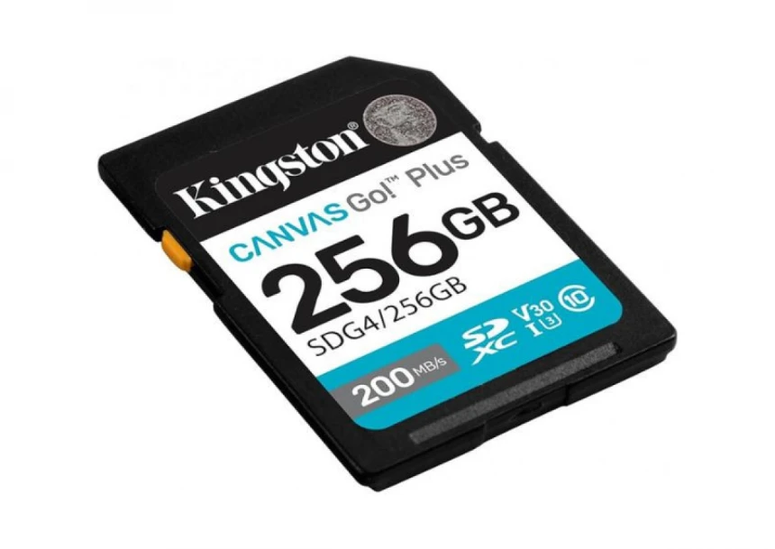Micro SD Kingston 256GB SDG4/256