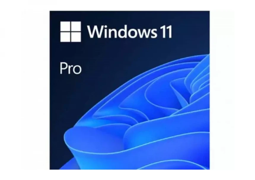 Microsoft Windows 11 Pro 64bit Eng Intl OEM DSP DVD FQC-10528 (24H2)