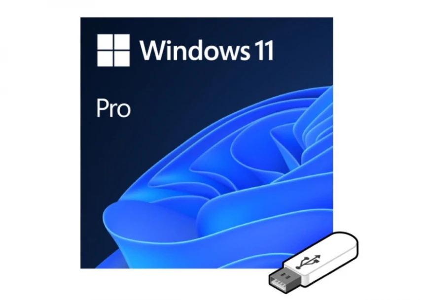 Software Microsoft Windows 11 Pro FPP 64-bit (HAV-00162) Eng USB