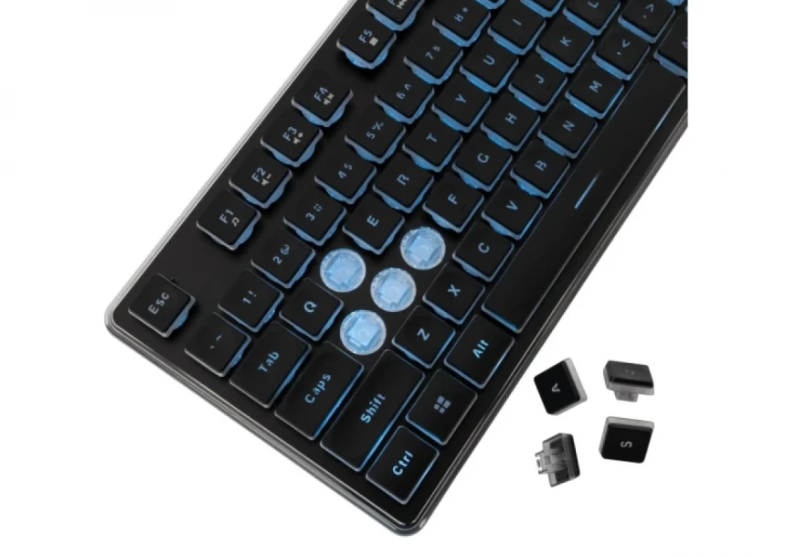 Tastatura White Shark GK 003141 TACHI crna membranska US