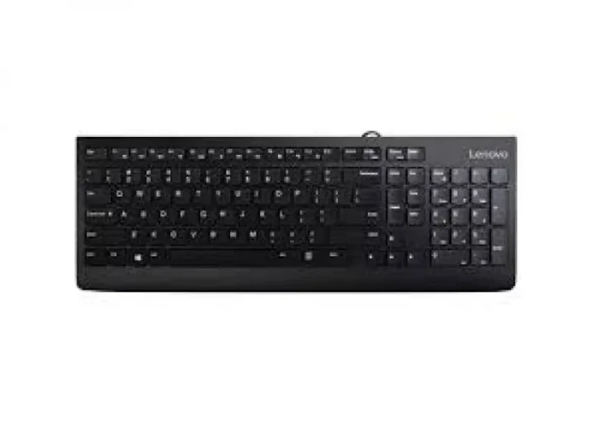 Tastatura žična Lenovo 300 US GX30M39655...