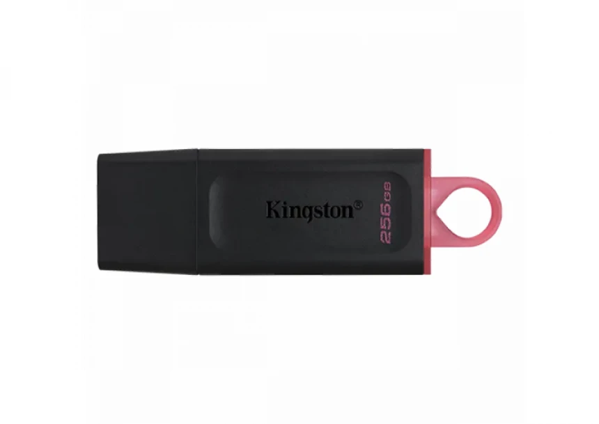 USB Flash Kingston 256GB DataTraveler Ex...