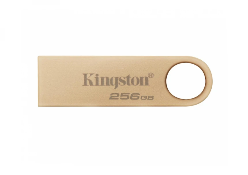 USB memorija KINGSTON DTSE9G3/256GB/Data...