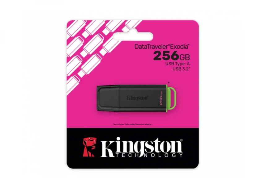 USB memorija KINGSTON DTXG2/256GB/DataTr...