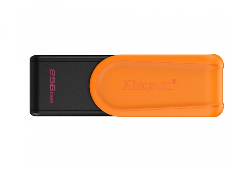 USB memorija KINGSTON DTXS/256GB/256GB/D...